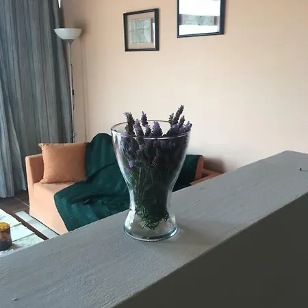 Traditional Studio Near Airport And